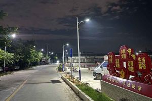 九游·会（J9）官方网站集团罗宁弟爱心捐赠路灯，点亮乡村路温暖乡民心